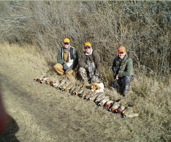 Pheasant Hunt